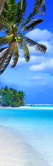 Vacation Sale Extravaganza: Resorts, Cruises, & More!