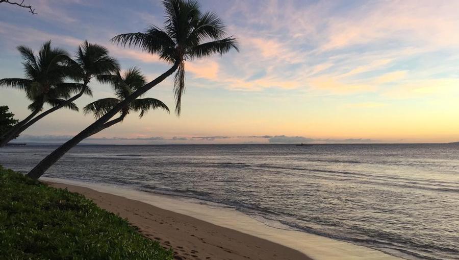 A stunning sunset on a pristine Maui beach, with palm trees leaning towards the sea.