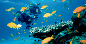 Exclusive Pricing and up to $200 Free Onboard Credit!