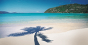 Pay with your American Express Points