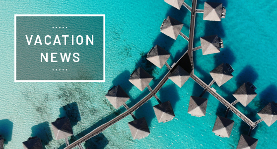 Avoya Travel: Cruise News