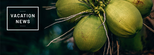 Avoya Travel: Vacation News