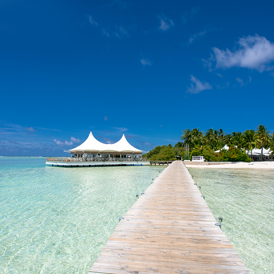 Popular Cruise Lines
