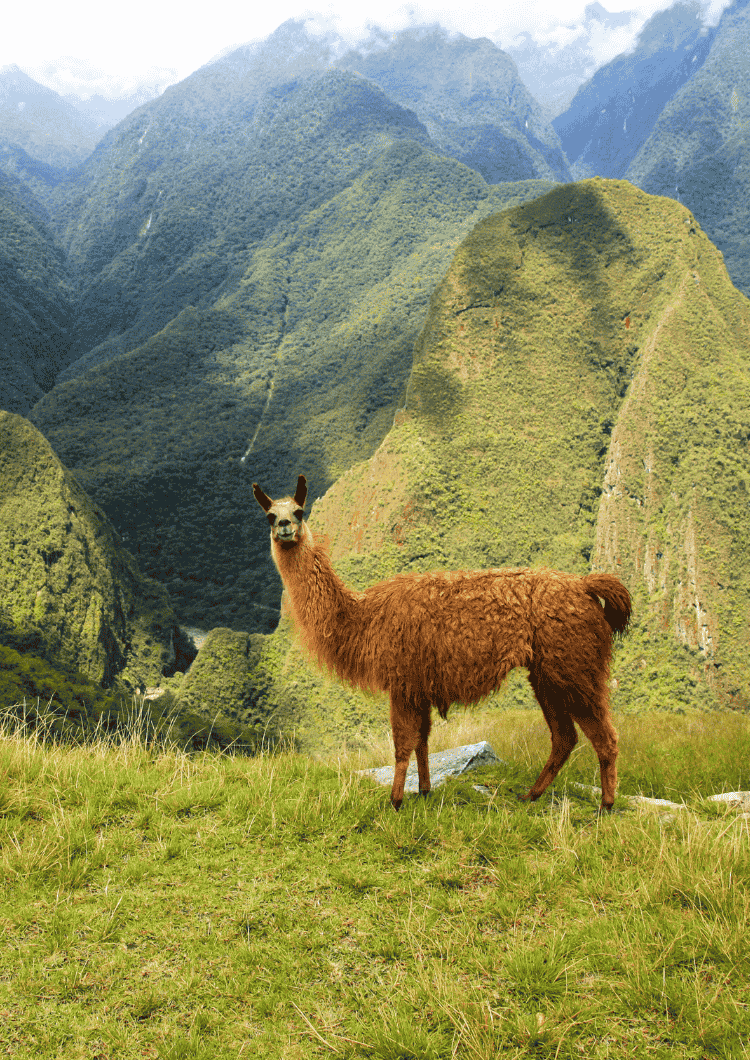 South America