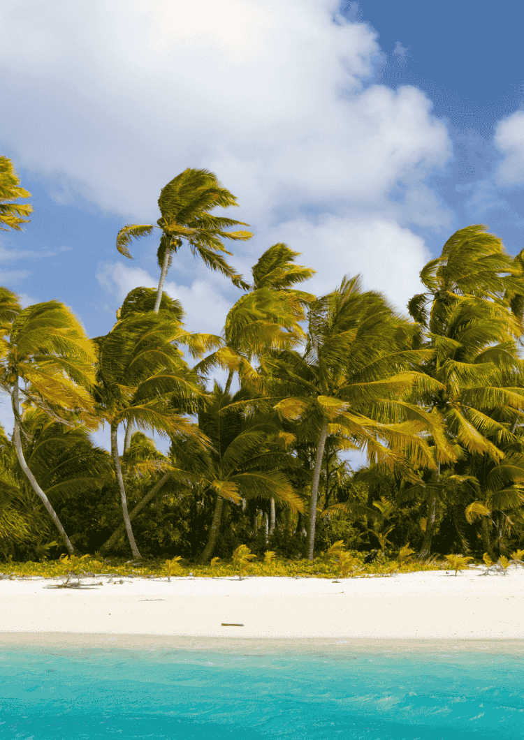 South Pacific