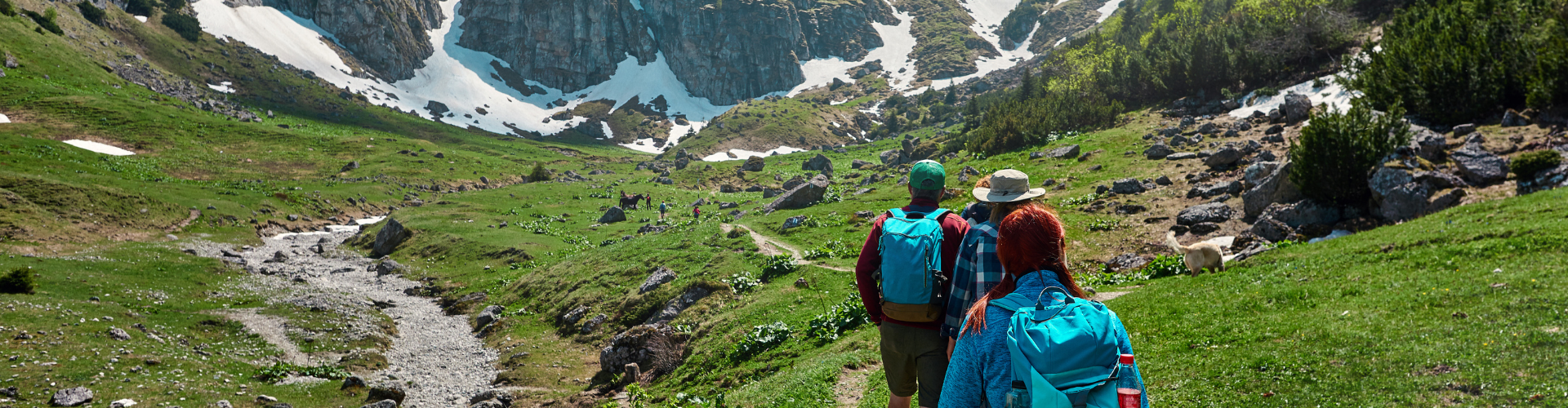 Adventure Travel: Expedition Cruises and Active Tours for Thrill-Seekers