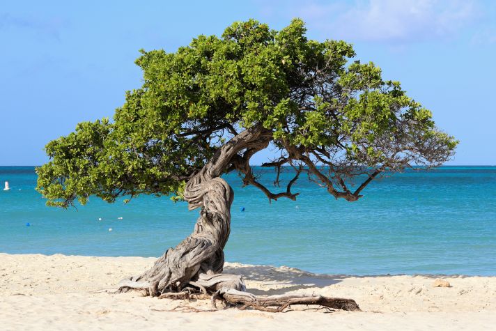 Eagle Beach, Aruba