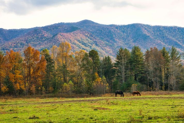 Great Smoky Mountains National Park, USA