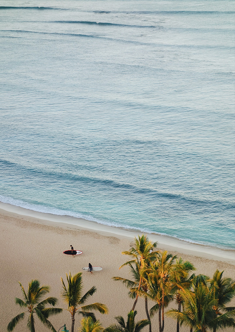 Avoya Hotels & Resorts