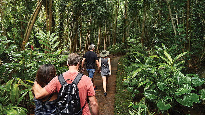 Discover the lush and tropical forests on Kauai.
