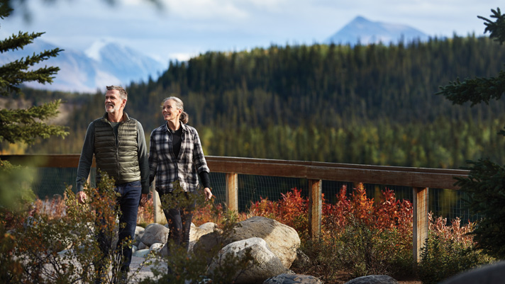 Enjoy incredible views of the tallest mountain in North America, Mount McKinley. 