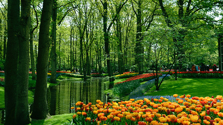 Keukenhof Botanical Garden in the Netherlands