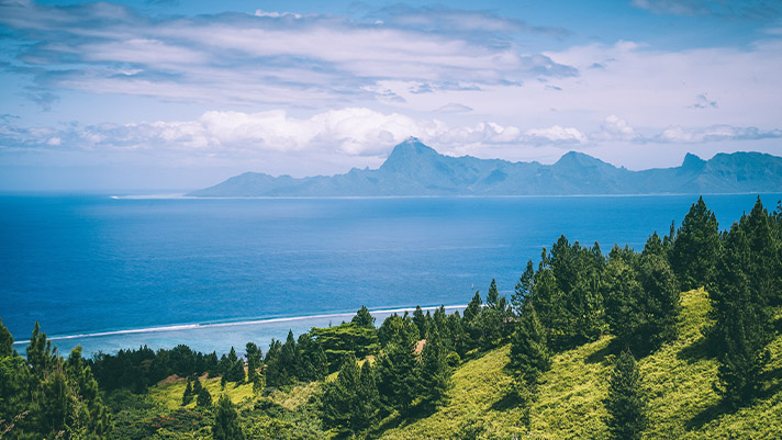 Enjoy peaceful scenery while visiting Papeete in Tahiti.