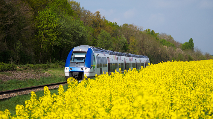 Railbookers® Worldwide, Independent Train Vacation Packages