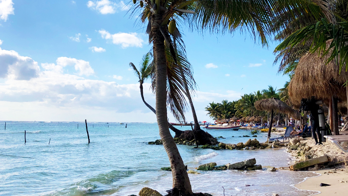 We awed at the scenic ocean views in Costa Maya, Mexico.