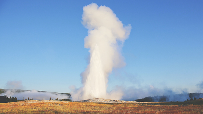 Witness the magnificent geyser, Old Faithful, at Yellowstone.
