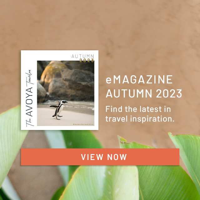 Avoya eMagazine