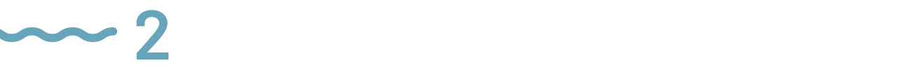 2. Connect