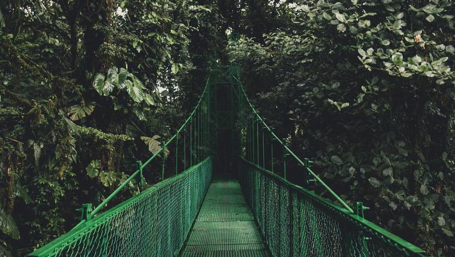 A hanging bridge in Costa Rica.
