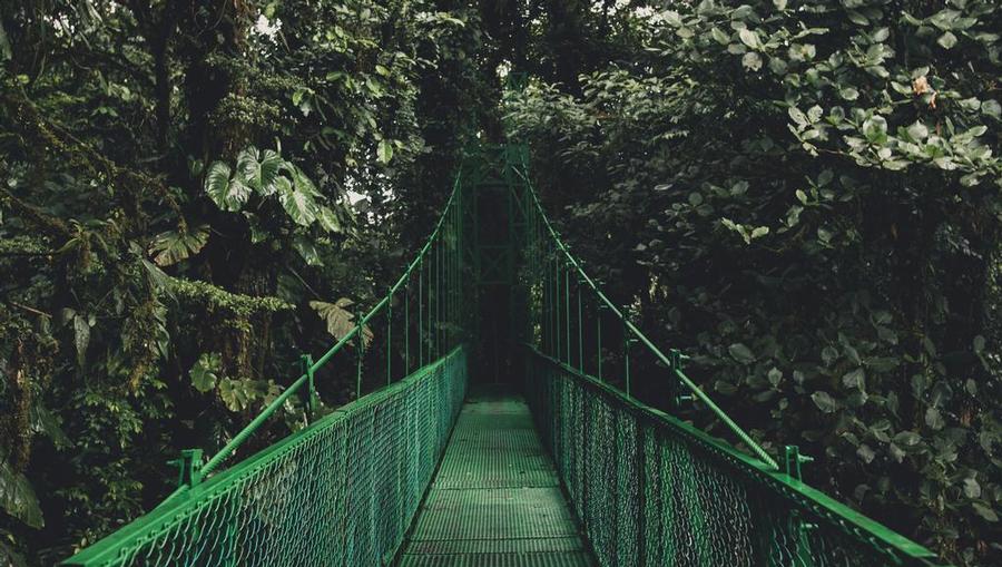 A hanging bridge in Costa Rica.