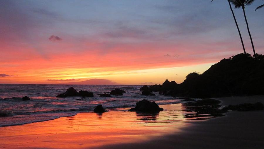 A sunset view at the beach. 