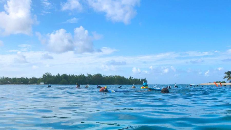 Snorkeling in Rangiroa