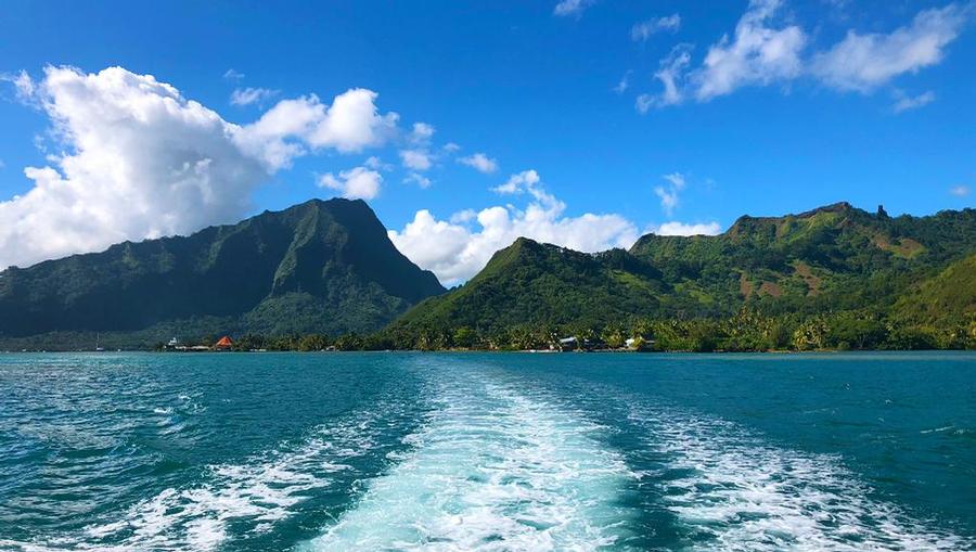 My Booking Experience With Avoya Travel My Booking Experience With Avoya Travel