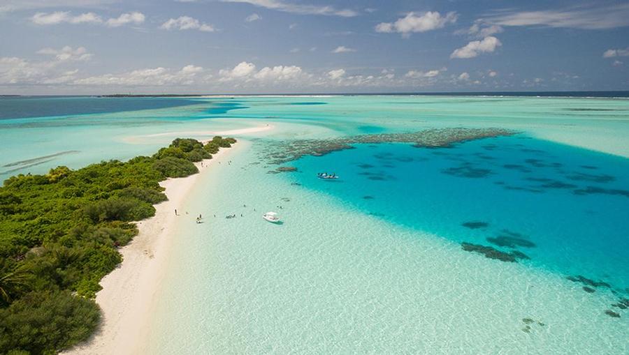 A tropical coast with light blue water in the Caribbean.