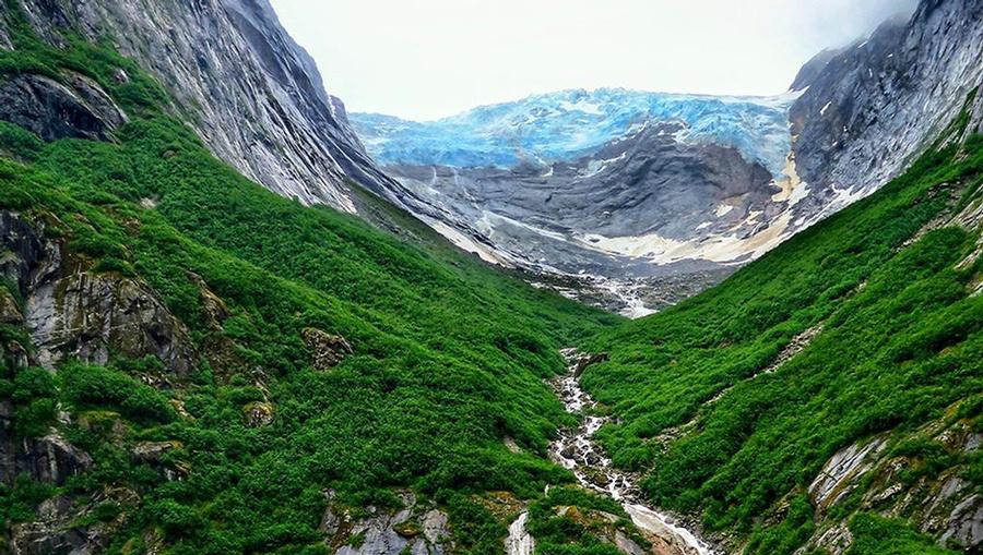 Alaskan mountains and green shrubbery.