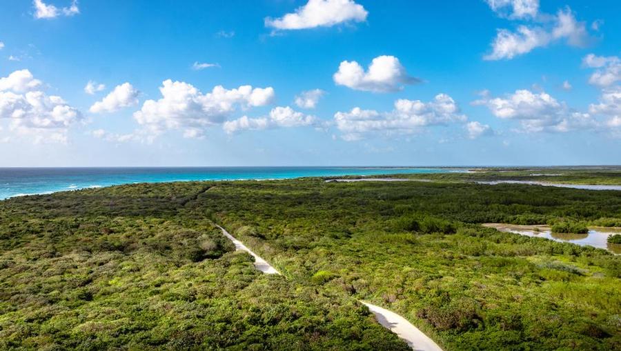 An overhead view of the Cozumel trail to the beach.