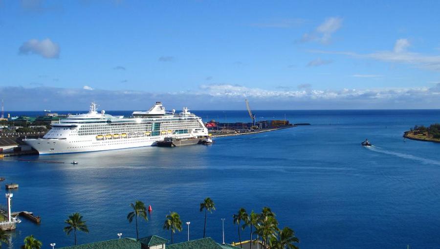A cruise ship docked in the bay lined with palm trees.
