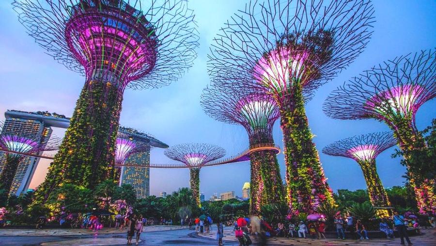 Supertree Grove in Singapore
