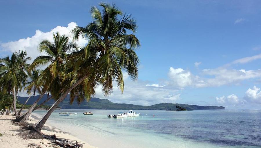 A view of a beach with palm trees in Samana, Dominican Republic.