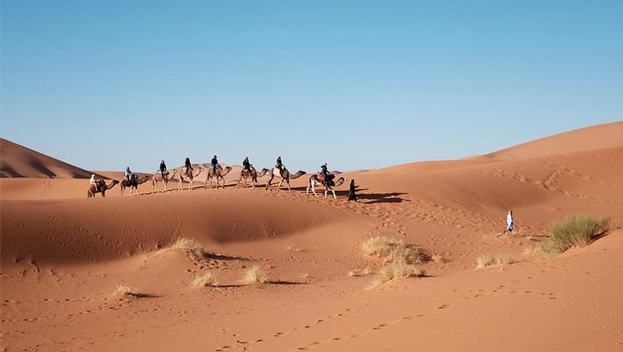 A landscape view of a desert in Cairo, Egypt with people riding camels.
