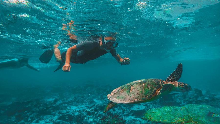 Basseterre, St. Kitts: The Caribbean Gem to Know About