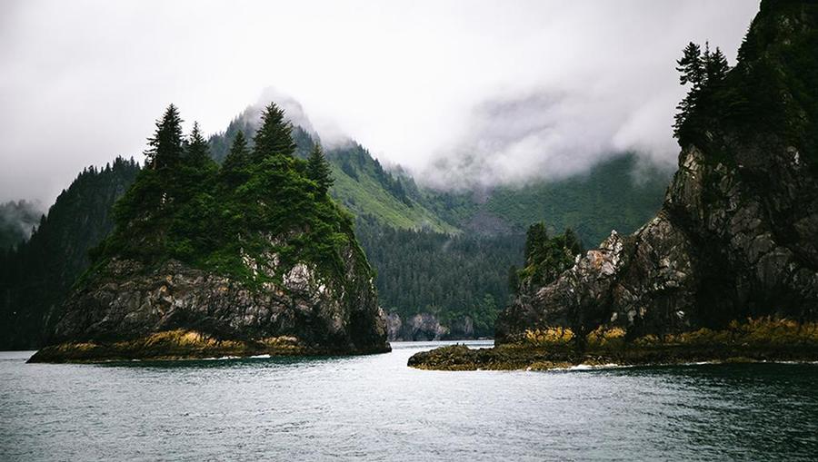 Alaska shore excursions