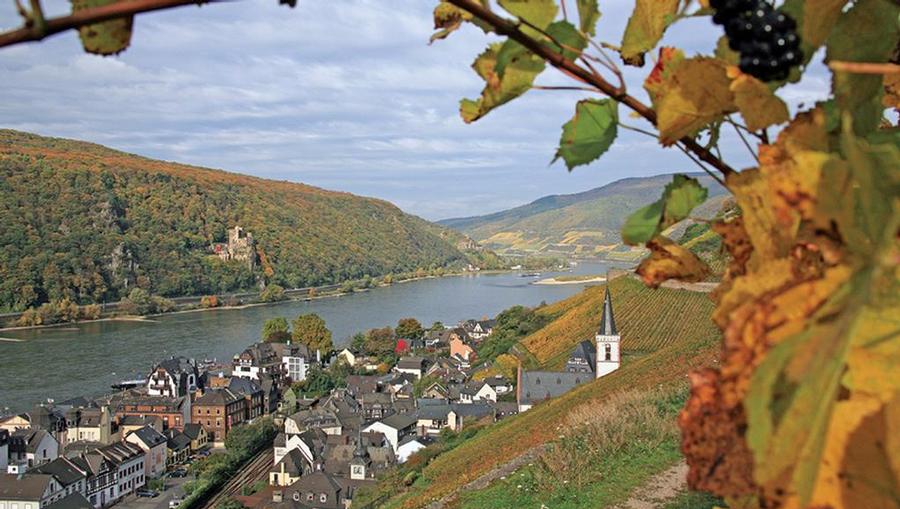 AmaWaterways provides amazing Rhine River cruises.