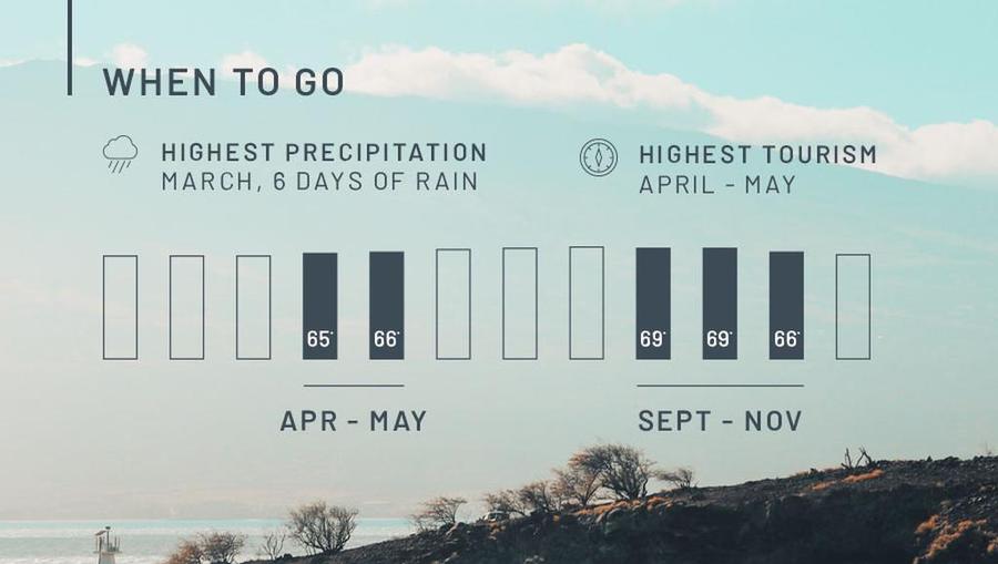 A chart created by Avoya Travel that shows the best times to visit Maui, Hawaii based on weather and tourism trends.