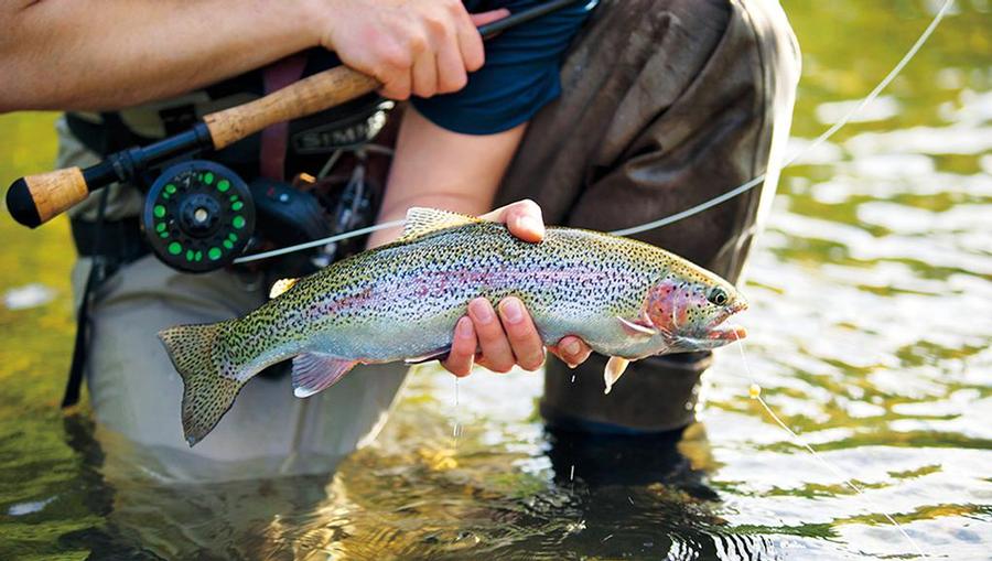 A fisherman catches reels in his catch in the Summertime in Alaska.