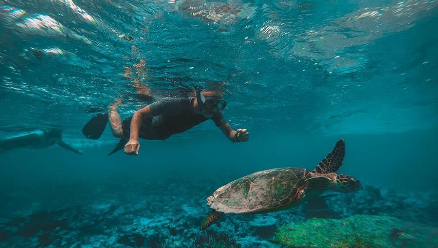 snorkel boat tour