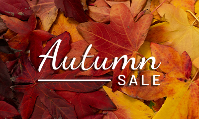 Autumn Sale!