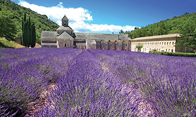 Save up to $1,500 on 2025-2026 Europe Sailings!