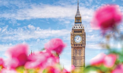 Avoya's Top Deals with CIE Tours!