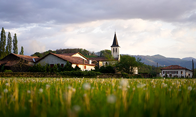 2023-2025 Itineraries from $1,599!