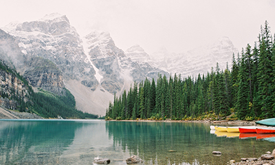 Up to $1,000 Savings for Solo Travelers!