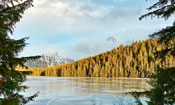Alaska cruises
