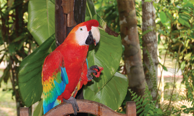 Early Booking Discount – Last Chance to Save 5% on 2021 Exotic Escorted Tours!