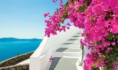 Avoya Advantage Exclusive – Distinctive Voyages Host, Private Welcome Reception PLUS Exclusive Shoreside Event!