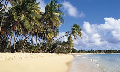 2026-2027 Tropics & Exotics Collection – Save up to 10%, Free Gratuities, Free Beverages, Unlimited WiFi, Free Specialty Dining PLUS More!