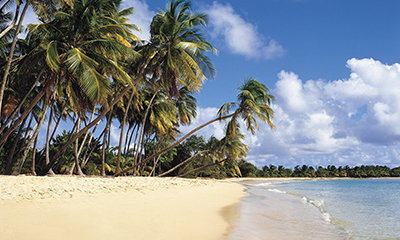 $25 Reduced Deposits on 2026 Sailings!